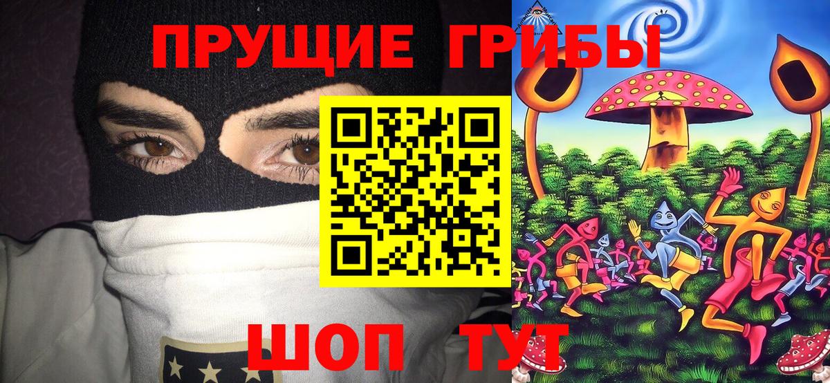 Псилоцибиновые грибы MAGIC MUSHROOMS Выкса