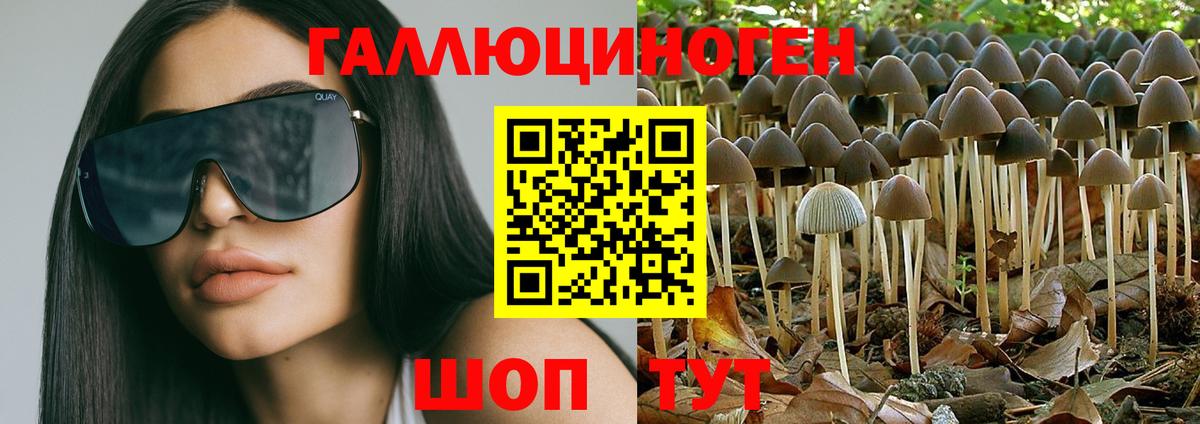 Выкса  Псилоцибиновые грибы прущие грибы  Вход с VPN  Галлюциногенные грибы GOLDEN TEACHER 